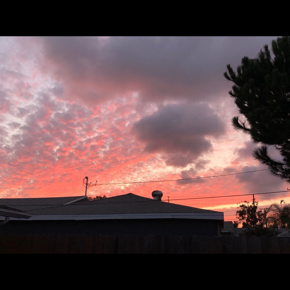 Meet your Posher, Tricia